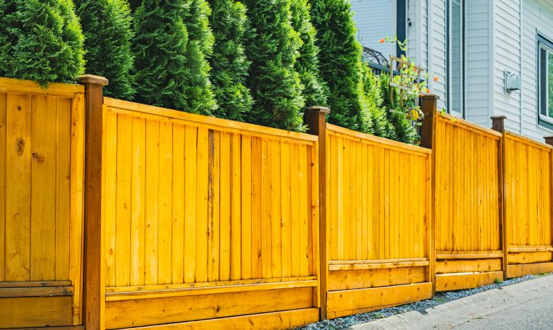 Privacy Fence Replacement